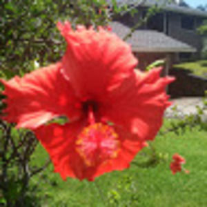 Meet your Posher, Suzanne